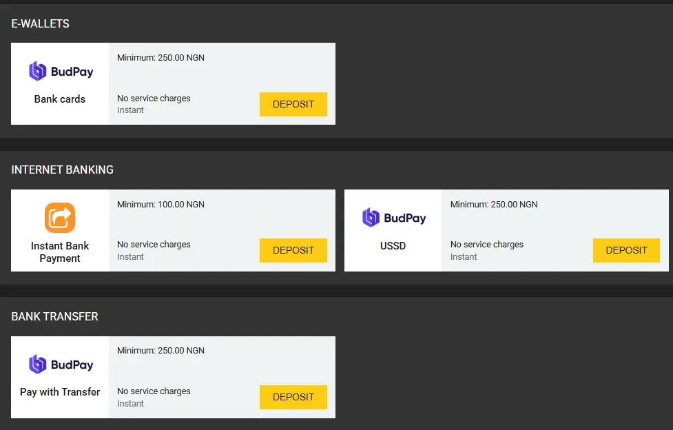 AfroPari payment methods with BudPay deposits and instant transfers